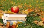 Apple_on_Books_in_Grass_Fruit.jpg