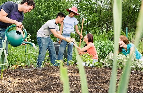 neighbors-working-together-community-garden-social-benefits1.jpg