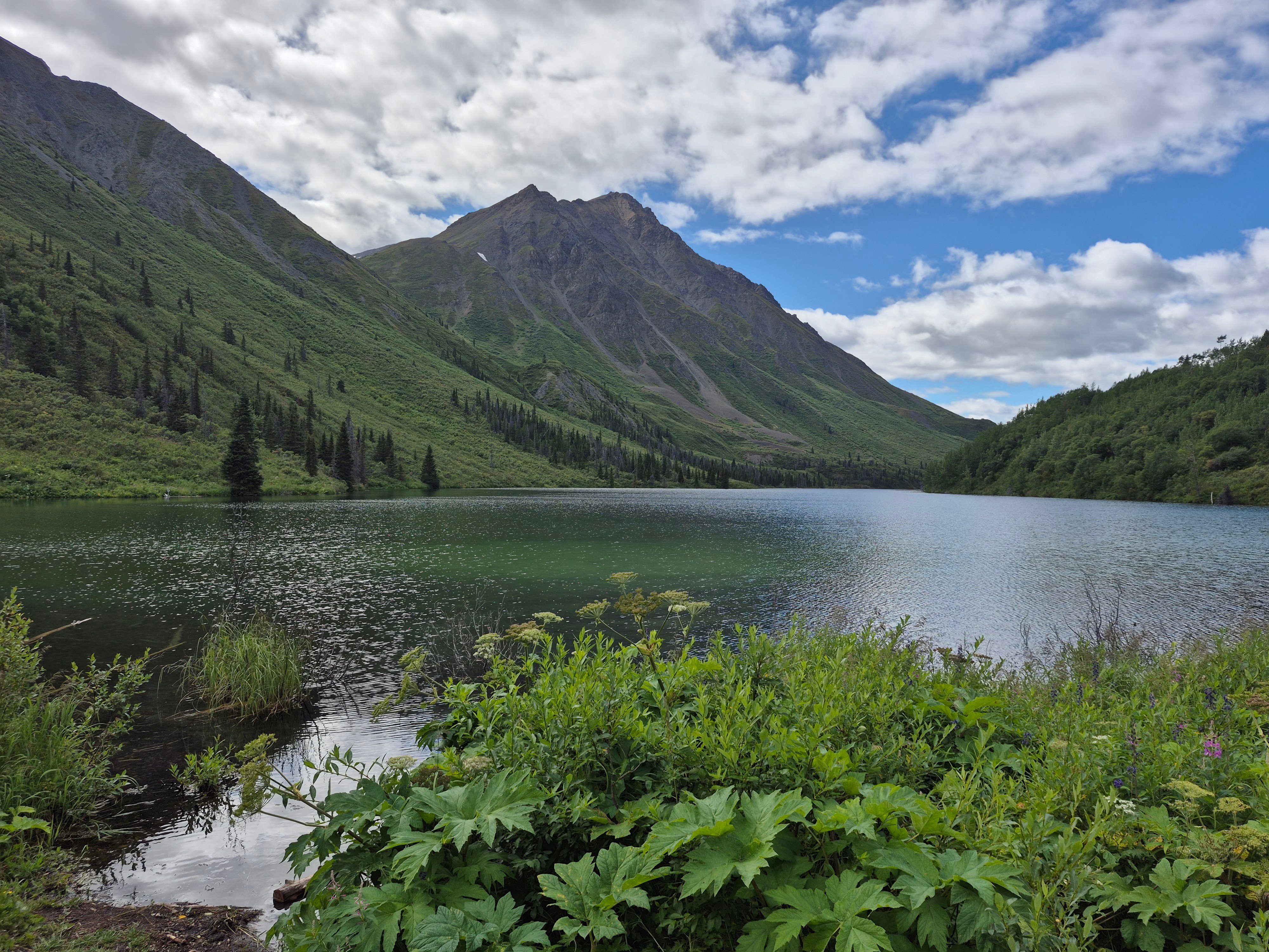 Open Letter from Canada’s Nonprofits and Charities to Corporate and Philanthropic Funders